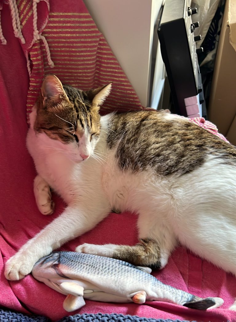 Bobs cuddling his feesh!