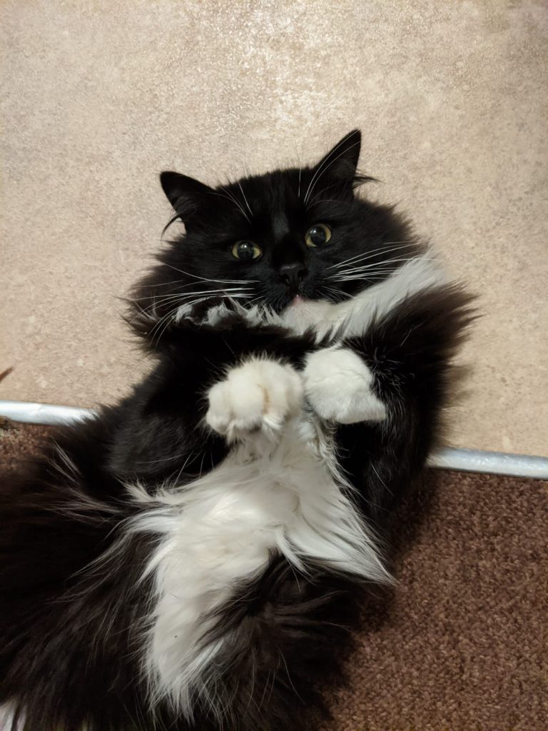 Friend is ridiculously cute!