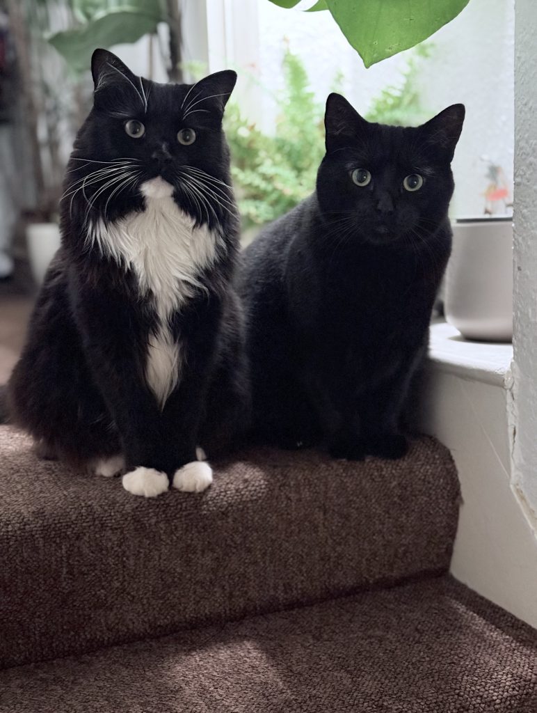 The Lads waiting for their dinner!