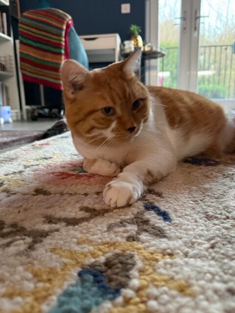 "I'm ready for my close up"