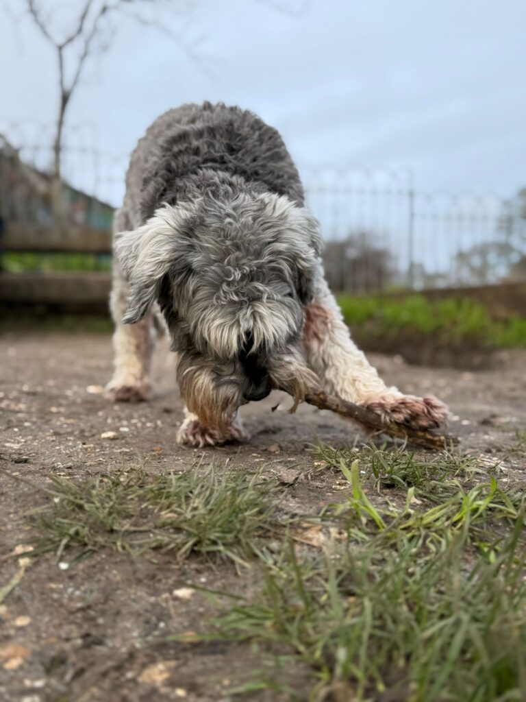 Loving all the smells!