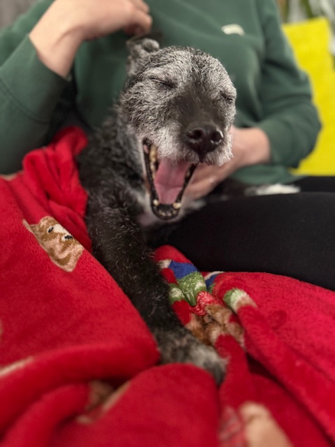 Finally, someone who appreciates my jokes!