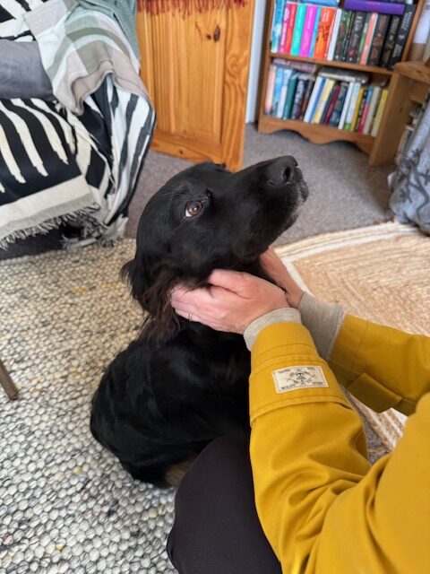 Incredible Isla has boundless energy, but also loves a cuddle!