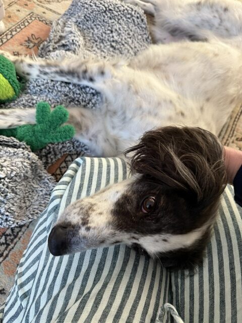 Cuddle time with Maggie!